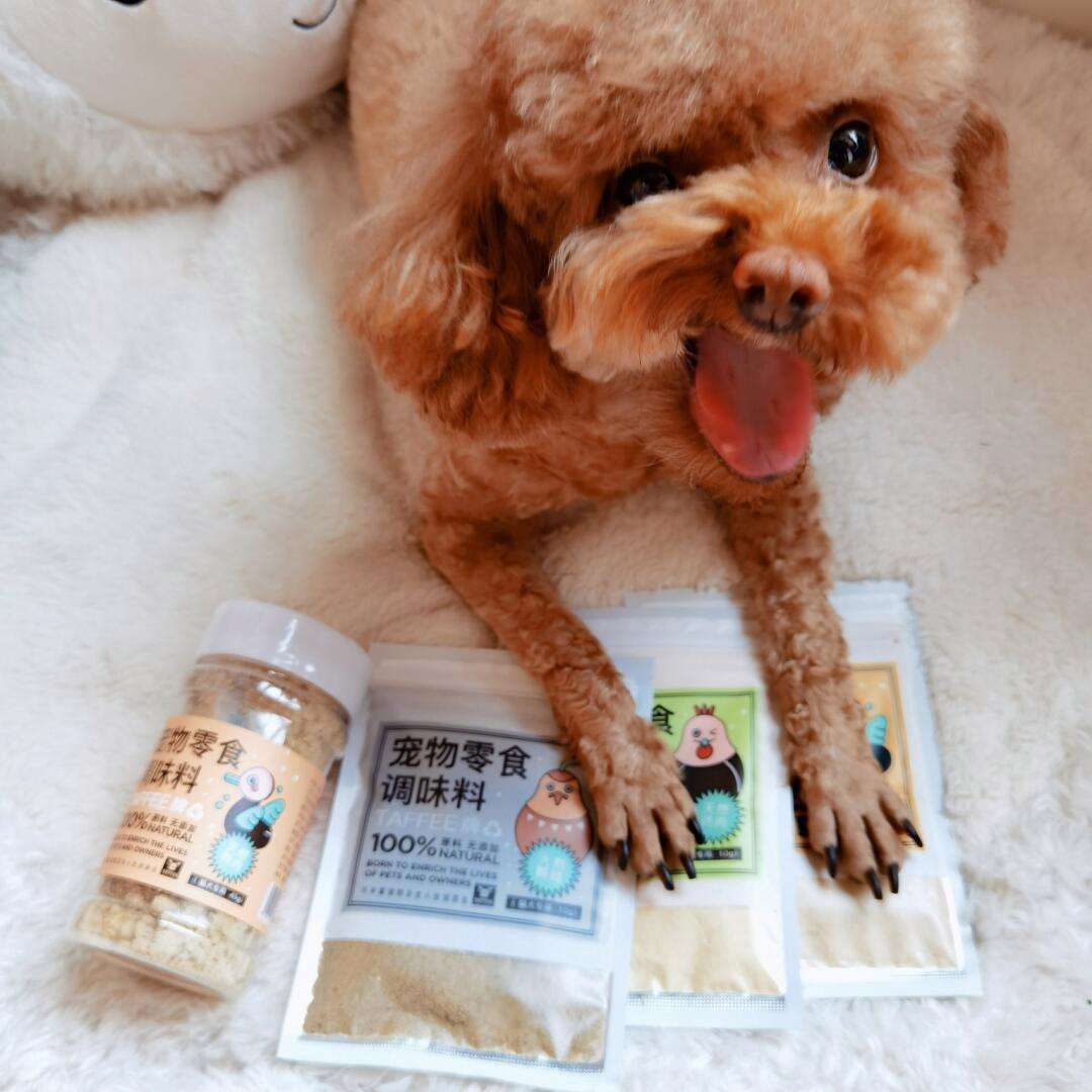 好吃小狗音频下载_(好吃狗用英文怎么说)