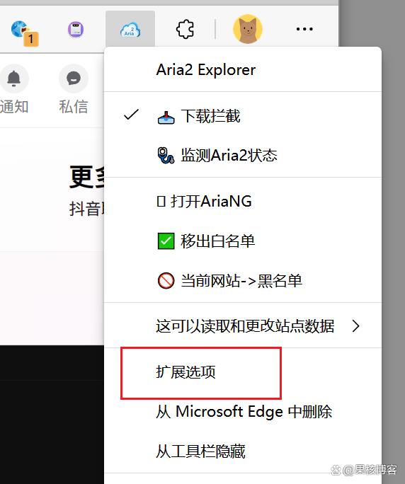 下载国外软件的下载器叫什么-(下载国外软件的下载器叫什么名字)