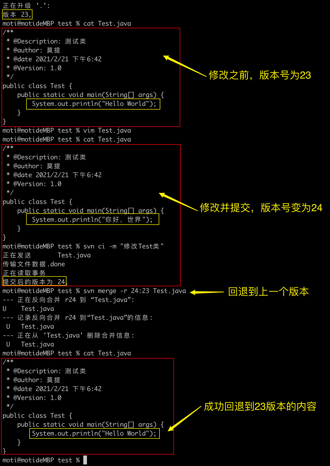 svn下载教程(svn下载使用教程)