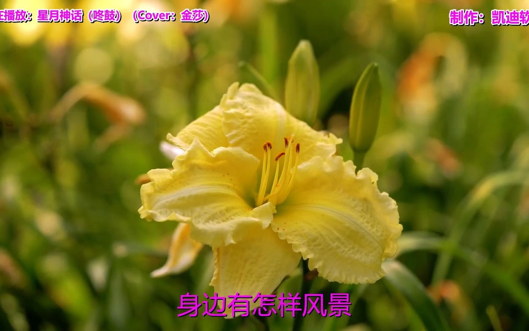 神话mp3下载_(芦苇飞mp3下载免费版)