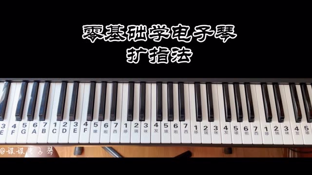 电子琴入门教程视频下载_(电子琴入门教程视频下载安装)
